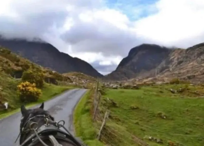 Superb Large 5 Bedroom Home, 6 Beds, Sleeps 10-11 Guest, With Lovely Mountain Views