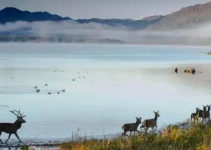 Superb Large 5 Bedroom Home, 6 Beds, Sleeps 10-11 Guest, With Lovely Mountain Views كيلارني